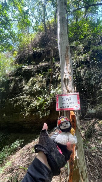 淡蘭古道北中南路全段共15段2826429