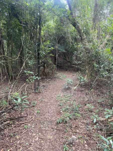 20250614-《皮皮獅秘密任務啟動！搶先探路三段崎古道｜森遊竹縣鐵粉任務大公開》2852035