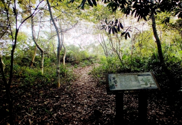 秋冬賞楓~步道行 2014 (馬那邦山)81841