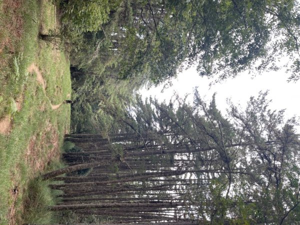 115.10.02-04—百岳大小劍3137548