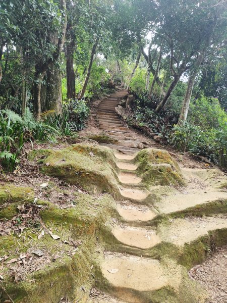 新店到貓空10K（台北天際線1部份路段）2993614