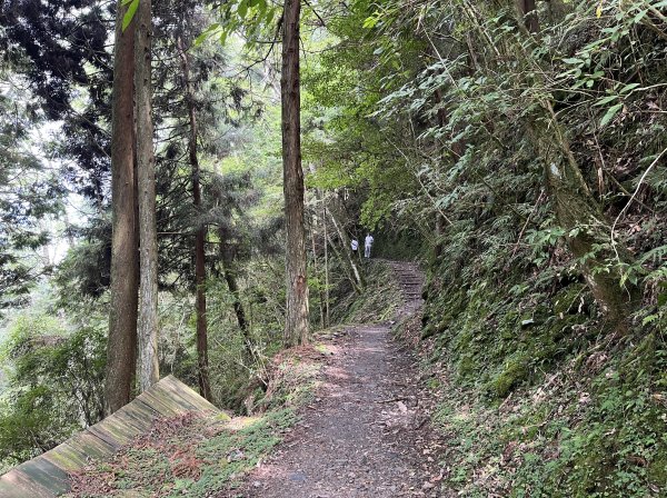 [森遊竹縣-04/10] 2023_0923_檜山巨木森林步道2295225