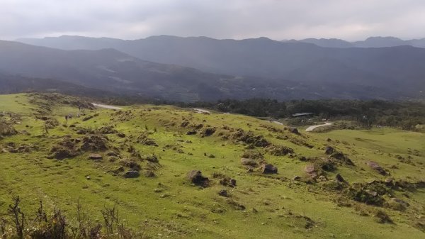 2019 3/2 草嶺古道 桃源谷853687