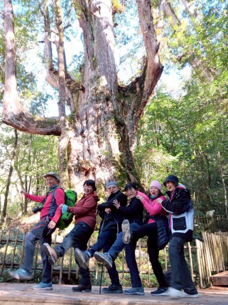 20260104司馬庫斯 &巨木群攀登2978856