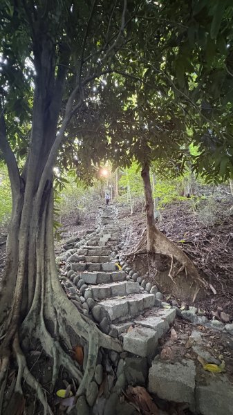 美濃雙溪樹木園（九芎林山2905619