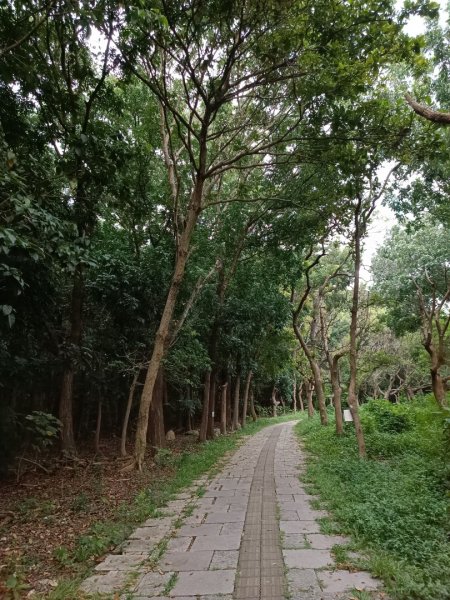 走路趣尋寶-高雄都會公園1864123