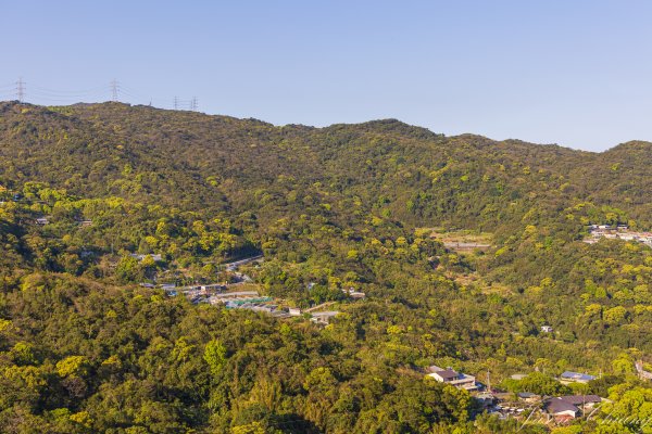 [台北]大崙頭山、碧山巖、忠勇山2746218