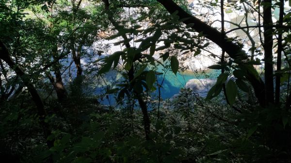 小錐麓古道&砂卡礑179685