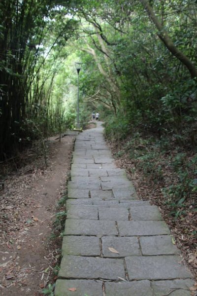 1031007硬漢嶺步道3098140