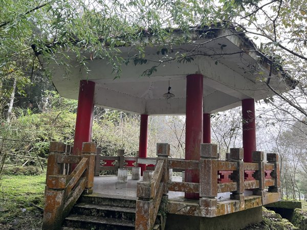 [嘉遊好步道．來嘉走走-04/10] 2024_1011 阿里山頂湖步道2624715