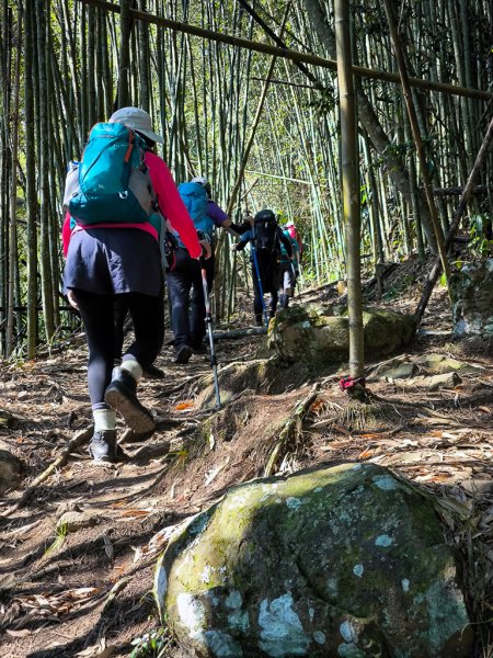 2024-04-17 獵人古道、望美山、瓊山2483310