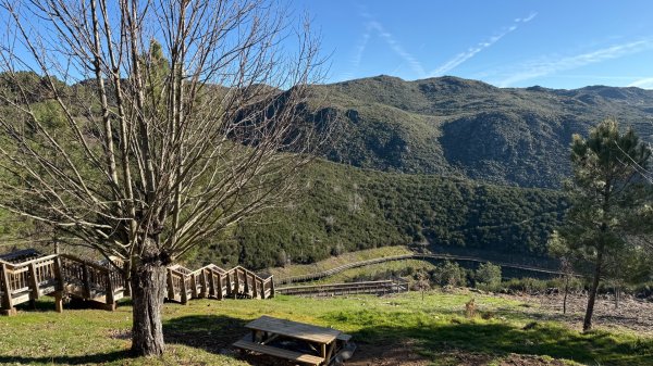 蒙德戈人行橋：葡萄牙🇵🇹2776867