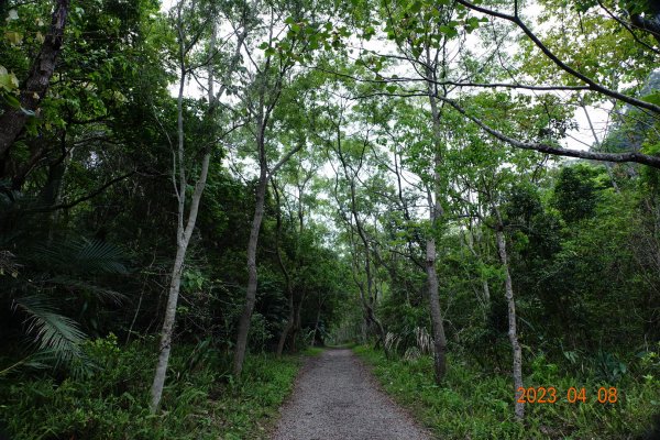 苗栗 泰安 虎山2107181