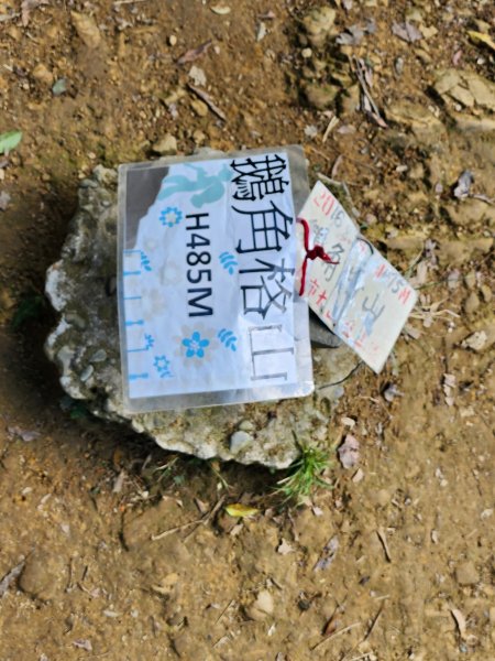 20240114指南宮站經猴山岳二格山鵝角格山至貓空站2430837