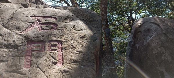 20220312_馬那邦山 細道邦山南峰 細道邦山1637059