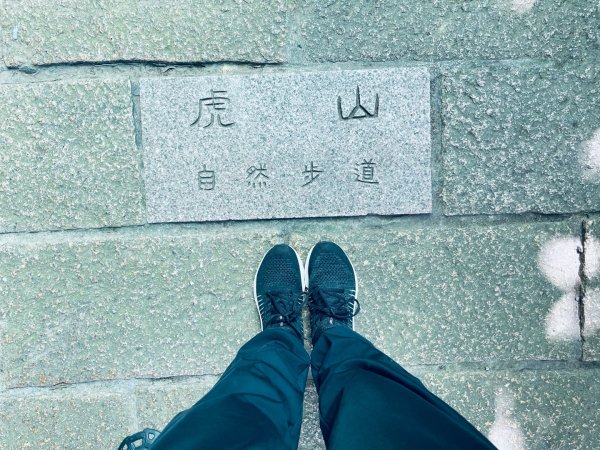 20250928 九五峰-拇指山-象山2903904