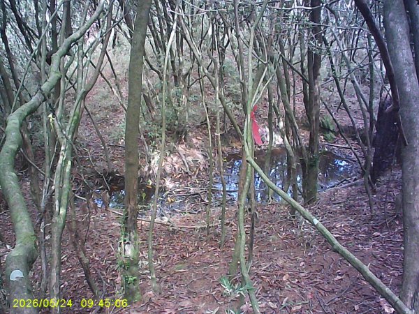 兒玉(自忠)山、東水山、東水山西峰及特富野古道O繞。3061792