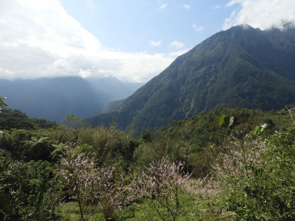 大同大禮步道(同禮古道)282843