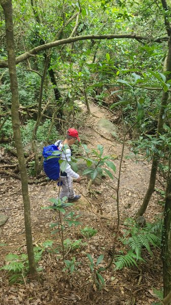 2025-01232淡蘭古道北二段(燦光寮古道到澳底)2696660