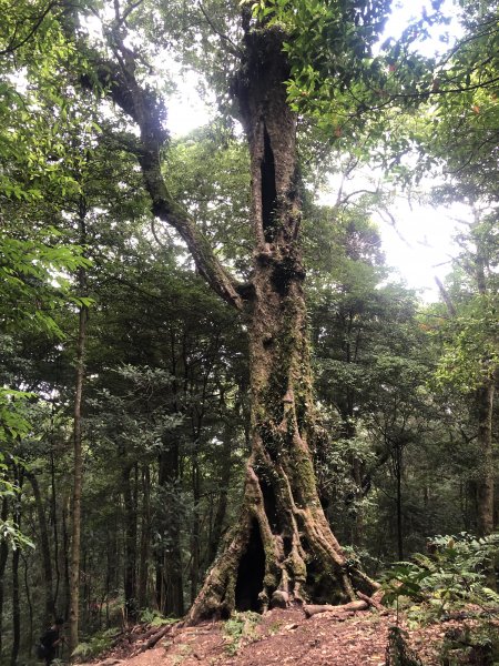 2020/09/13高島縱走P繞1101703