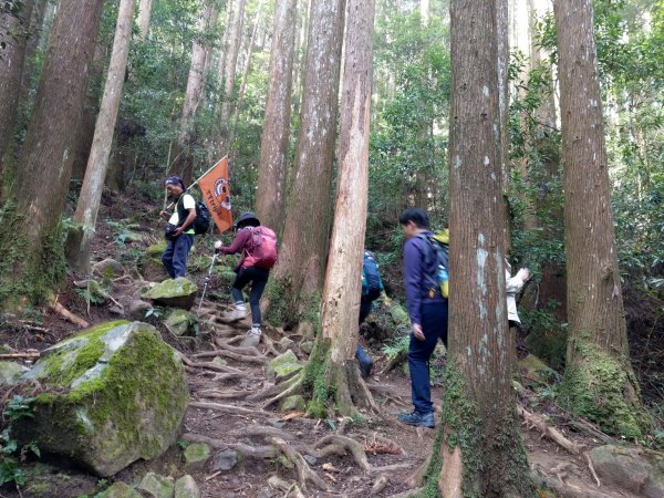 台版富士山「加里山」(小百岳#34) 2020/12/191424799