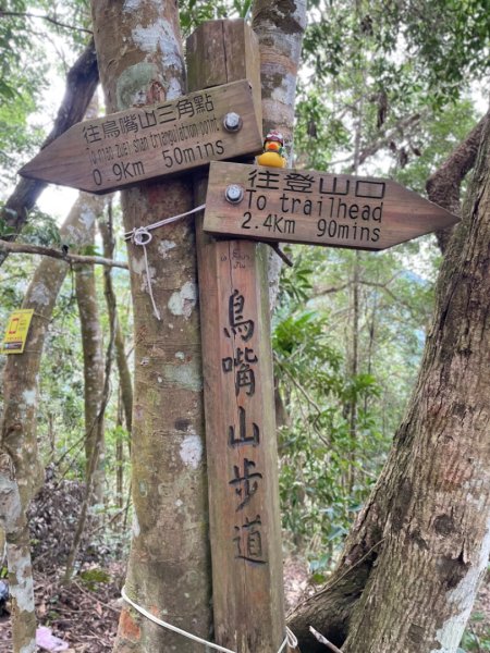 苗栗水雲三星-鳥嘴山（上島山）2651554