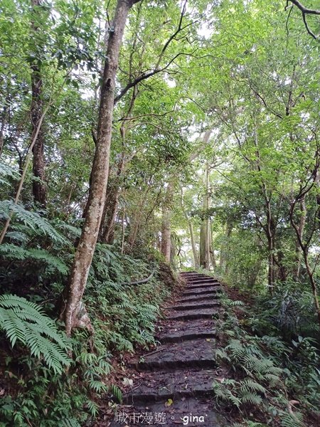 【新竹橫山】廢棄小學變身山城驛站。 逃學古道x大山北月2623209