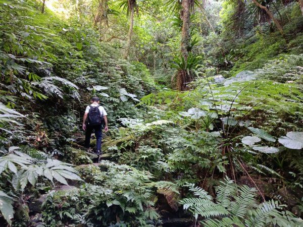 坪林區南闊瀨行(枋山坑古道+枋山坑崙+闊瀨越嶺保甲路O型)2916767