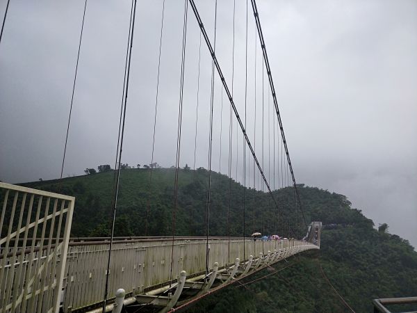 太平雲梯吊橋步道397165