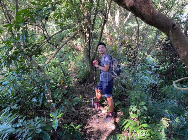 金面山.金山面山.十三份山.山麻坑山【暗藏玄機 不容你小覷的郊山縱走】2384832