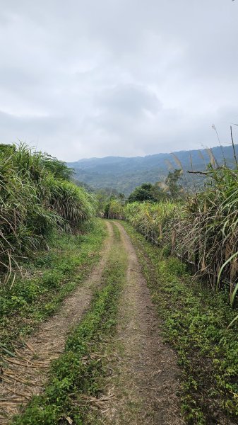 【登頂小百岳；見證九二一】解鎖第57座小百岳，編號047九份二山 🏔️2952093