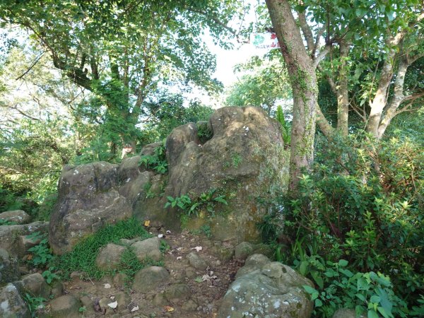 微笑山線之鳶山任務2855511