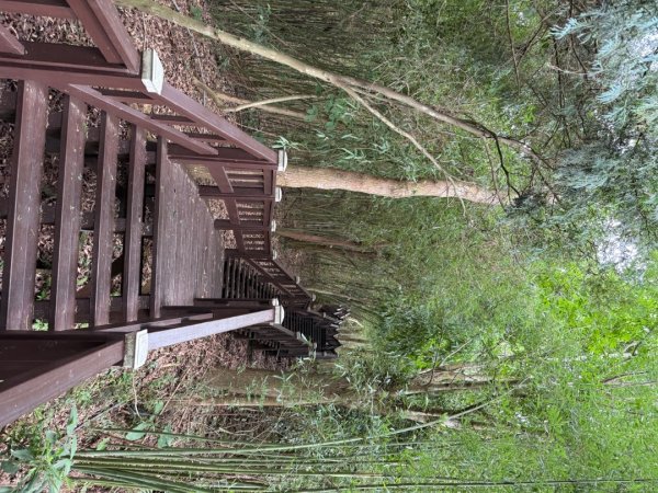 后里觀音山 鳳凰山2816245
