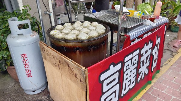 (姨婆趴趴走)第三十集:嘉義梅山太平雲梯、太平老街、太興岩茶園步道、龍王金殿2335380