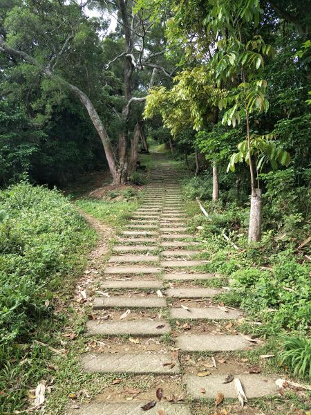 2018 04 18 咬人狗坑登山步道(三汀山)314150