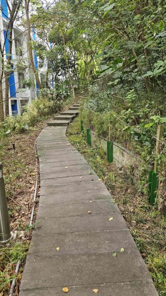 20250913龍華科大到體育大學秘徑-樟腦寮古道-青年公園O型2883659