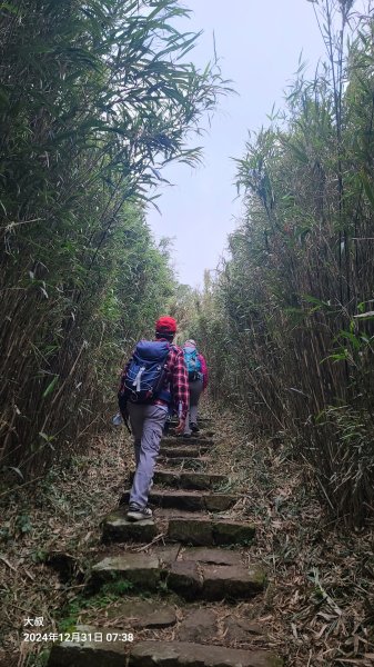 20024-1231臺北大縱走第二段：大屯主西南二子坪O型2680134