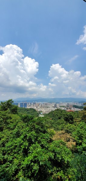虎山風景1104712