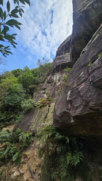 20260126北投貓咪洞-熱海岩場-八頭山2990705