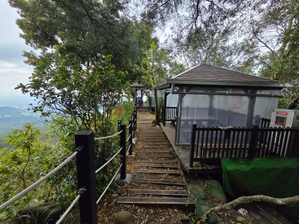 台中大坑4號登山步道2751096