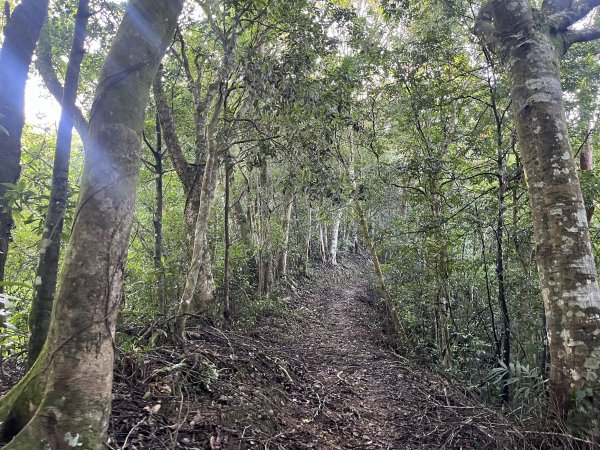 [淡蘭古道] 2025_0802 南路第四段2850821