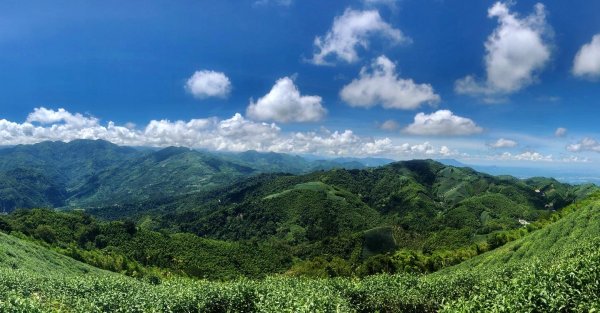 雲嘉五連峰1038193