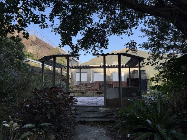 2025/01/20 金瓜石 基隆山 茶壺山2894024