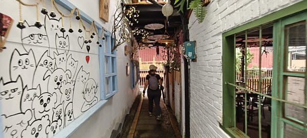 2025/05/25_茶園坪山2796585