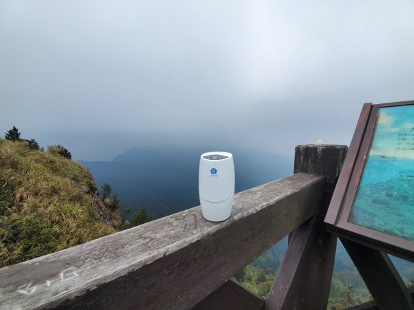 阿里山大塔山899538