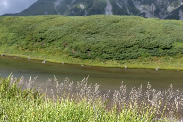 劎岳縱走立山(雄山)3116236
