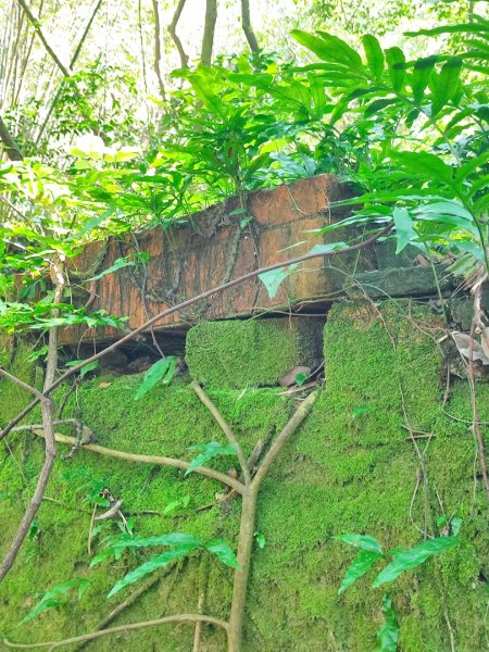 萬中瀑布-瑪鍊山-大路嶺古道-村長古厝-金剛岩-獅頭瀑布3005095