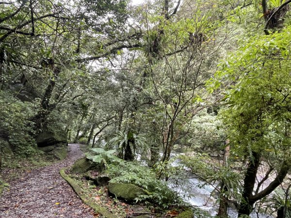 淡蘭古道中路第三段灣潭到威惠廟2974859