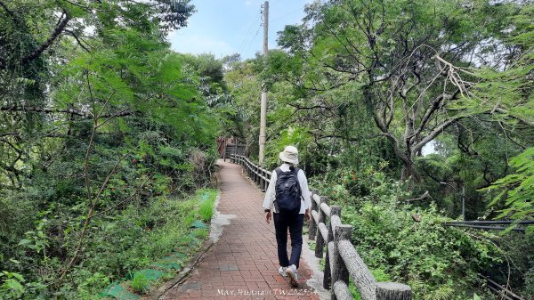 《新竹》城市微旅｜十八尖山+香山濕地賞蟹步道202511012928392