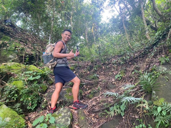 三寶山(烏心石山.鳩州嶺.尖凍山)步道【變成夢魘的大秘寶】2639862